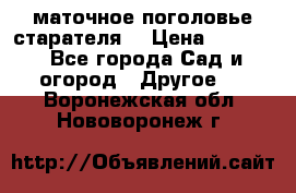 маточное поголовье старателя  › Цена ­ 3 700 - Все города Сад и огород » Другое   . Воронежская обл.,Нововоронеж г.